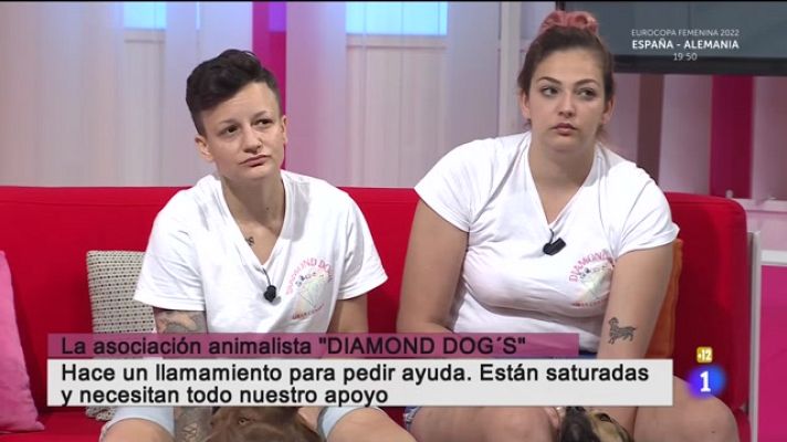 Cerca de ti - Cerca de ti - 12/07/2022