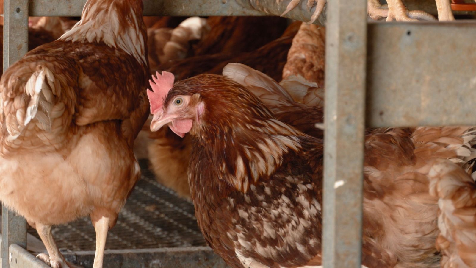 Aquí la Tierra - 12/07/22 - ver ahora