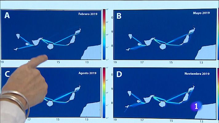 Telecanarias - Prueban tecnología para evitar las colisiones de embarcaciones y cetáceos en Canarias