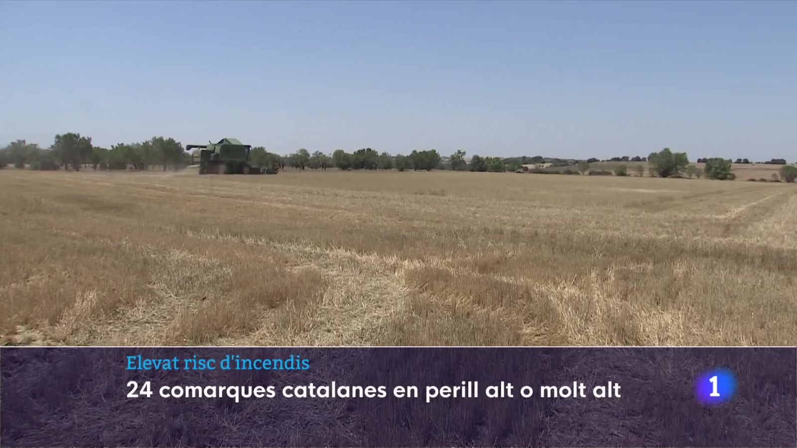 Elevat risc d'incendis: 24 comarques catalanes en perill alt o molt alt