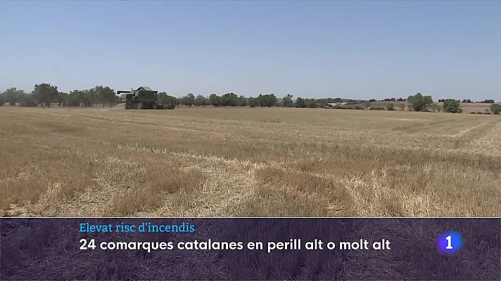L'Informatiu - Elevat risc d'incendis: 24 comarques catalanes en perill alt o molt alt