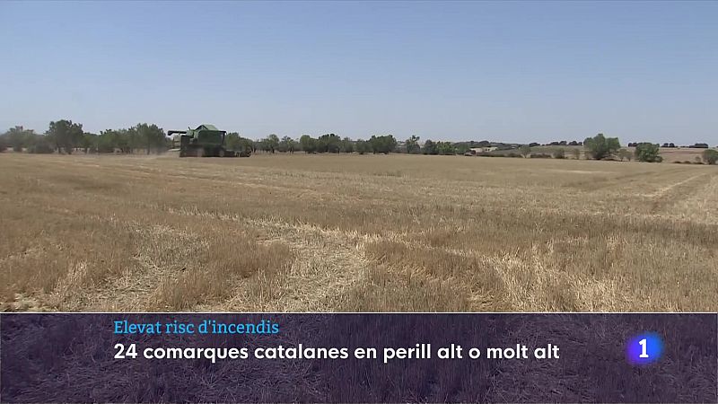 Elevat risc d'incendis: 24 comarques catalanes en perill alt o molt alt