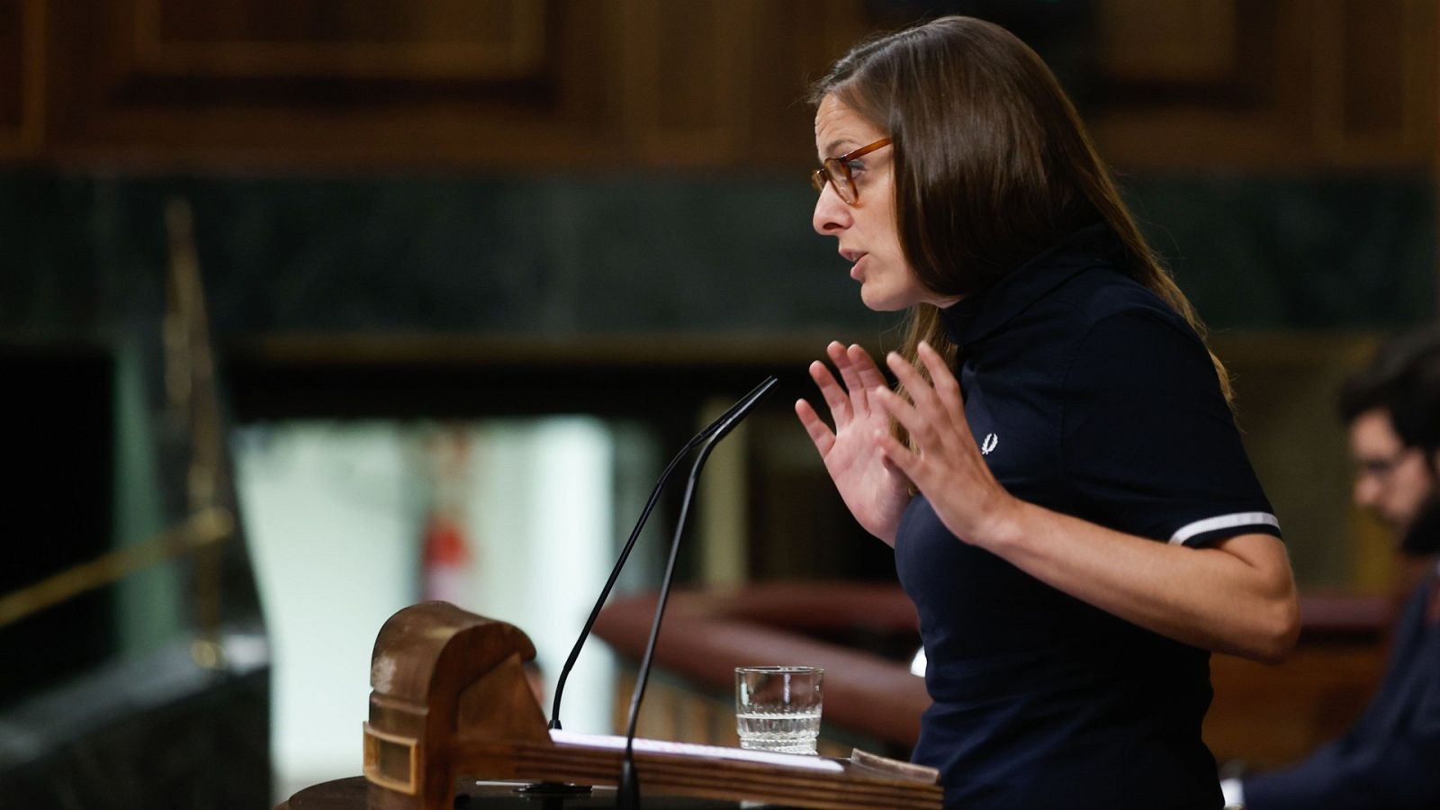 Debate sobre el estado de la nación 2022 - Grupo Mixto