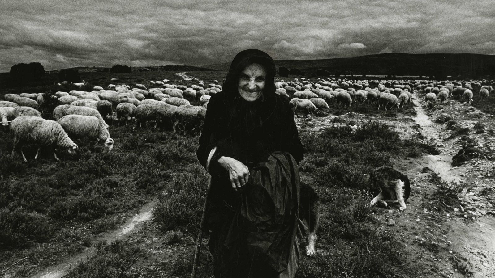 Detrás del instante - Josep María Ribas  - ver ahora