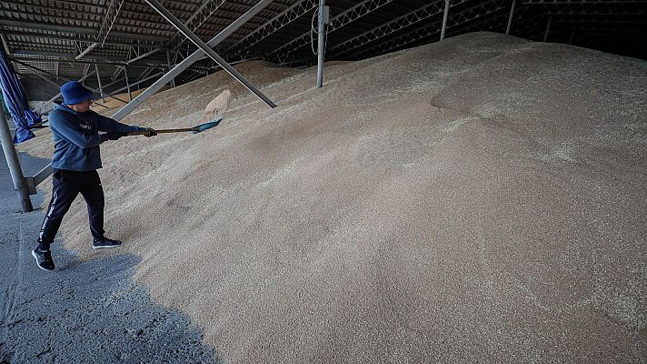 Telediario 2 - Rusia, Ucrania y Turquía avanzan un acuerdo sobre el cereal ucraniano