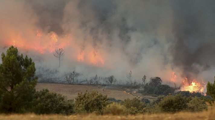 Diario 24 - Diario 24 - 15/07/22 (1)