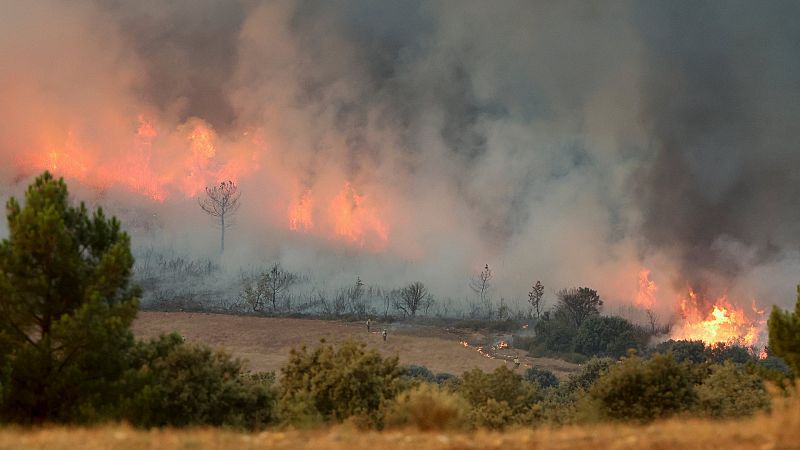 El fuego avanza sin control en Cceres y afecta al Parque Nacional de Monfrage