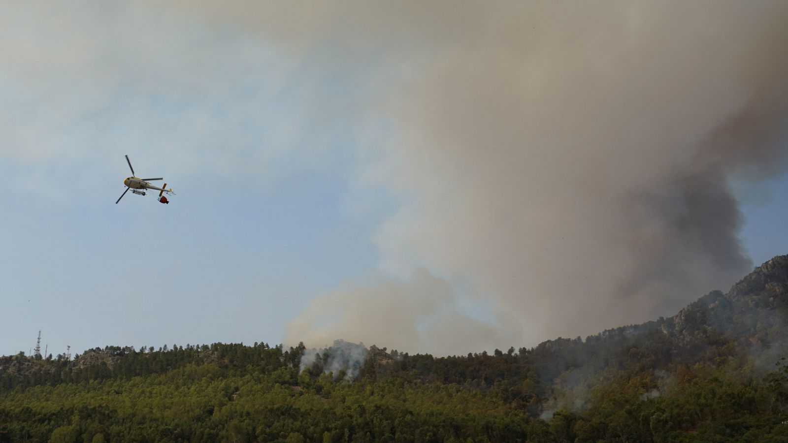 Telediario - 15 horas - 15/07/22 - ver ahora