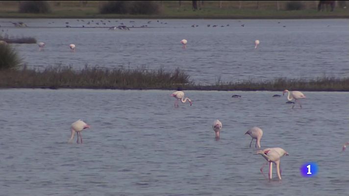 Noticias Andalucía - La Comisión amenaza con multas