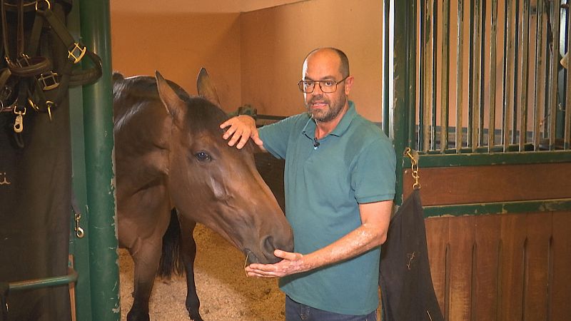 Concurso hípico Casas Novas