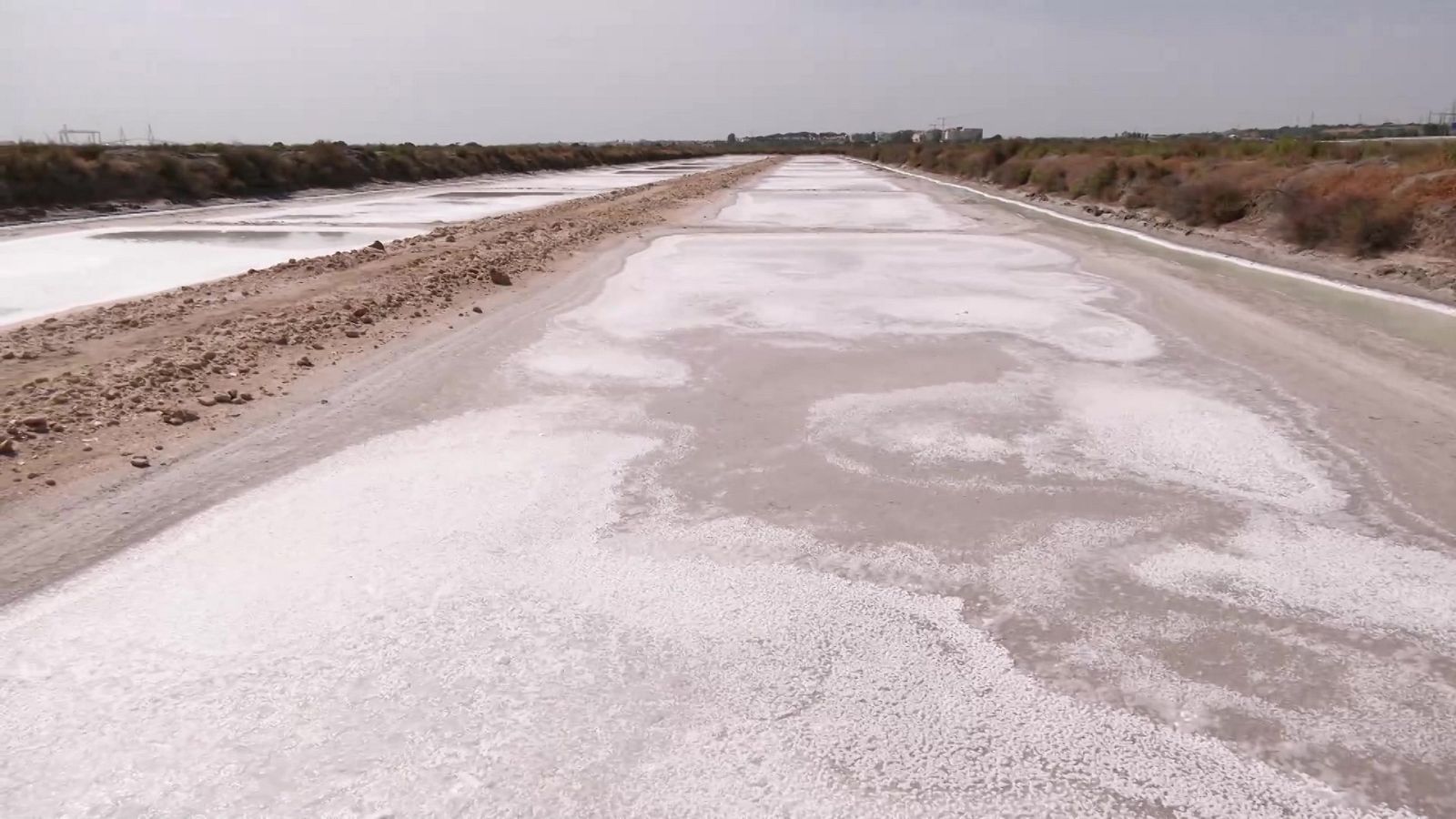 Aquí la Tierra - 15/07/22 - ver ahora