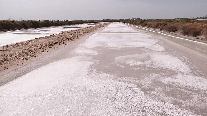 Aquí la Tierra - Aquí la Tierra - 15/07/22