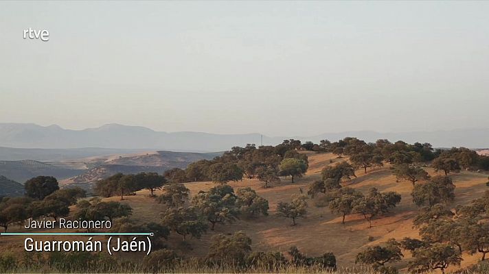 Temperaturas significativamente altas en la mayor parte de la Península y Mallorca