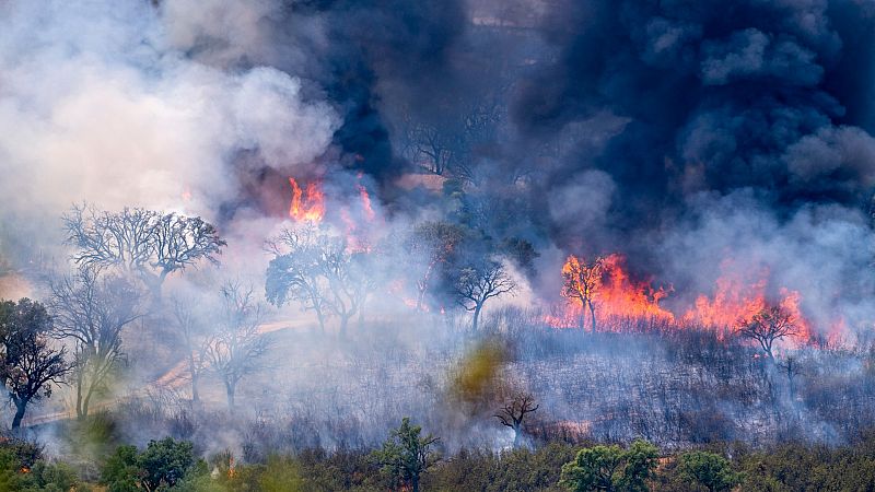 La ola de incendios en España arrasa unas 20.000 hectáreas