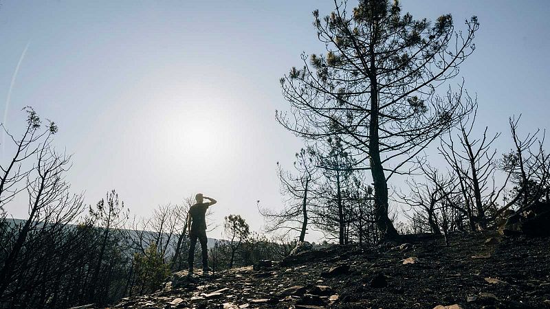 Los vecinos afectados por el incendio del Jerte: "Todo se va a quedar destrozado, va a ser una ruina"