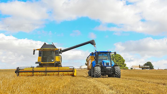 Telediario Fin de Semana - El riesgo de incendios, presente al cosechar con altas temperaturas
