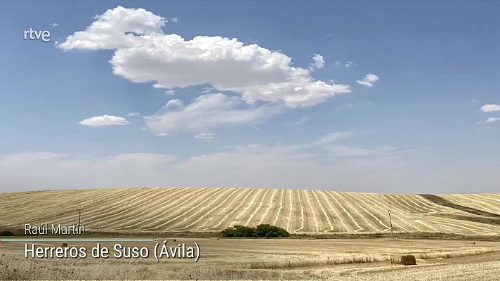 El tiempo - Temperaturas significativamente altas en la mayor parte de la Península y Baleares