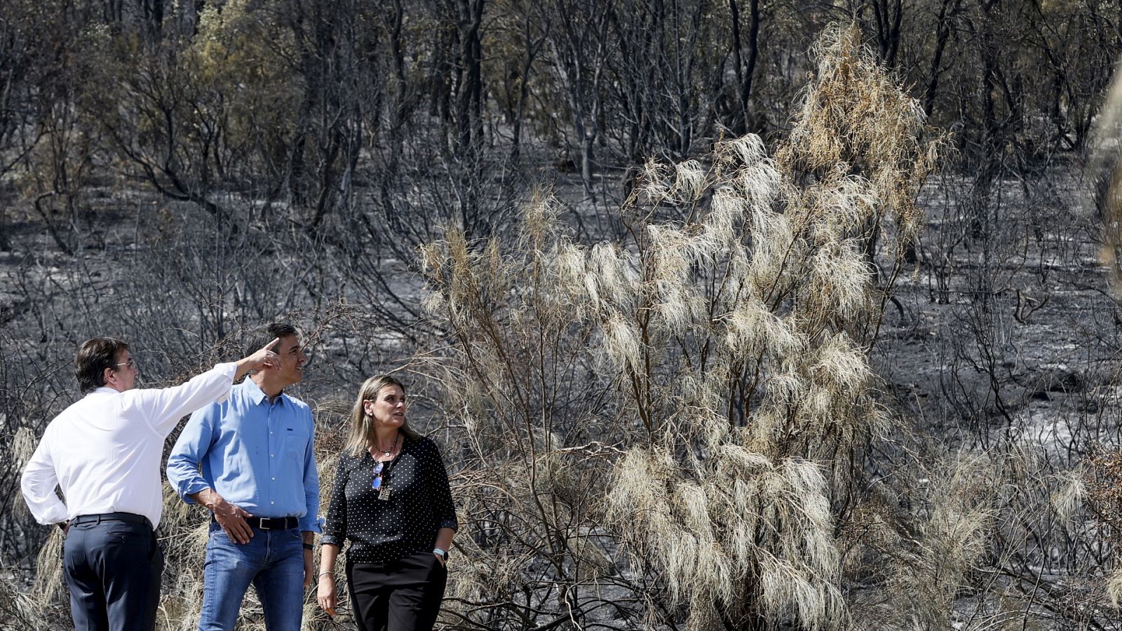 Diario 24 - 18/07/22 (2) - ver ahora
