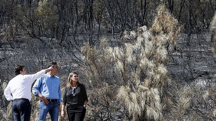 Diario 24 - Diario 24 - 18/07/22 (2)