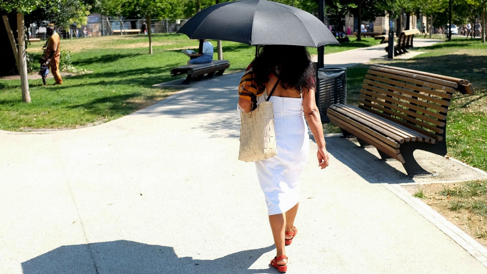 La ola de calor extremo sacude Francia 