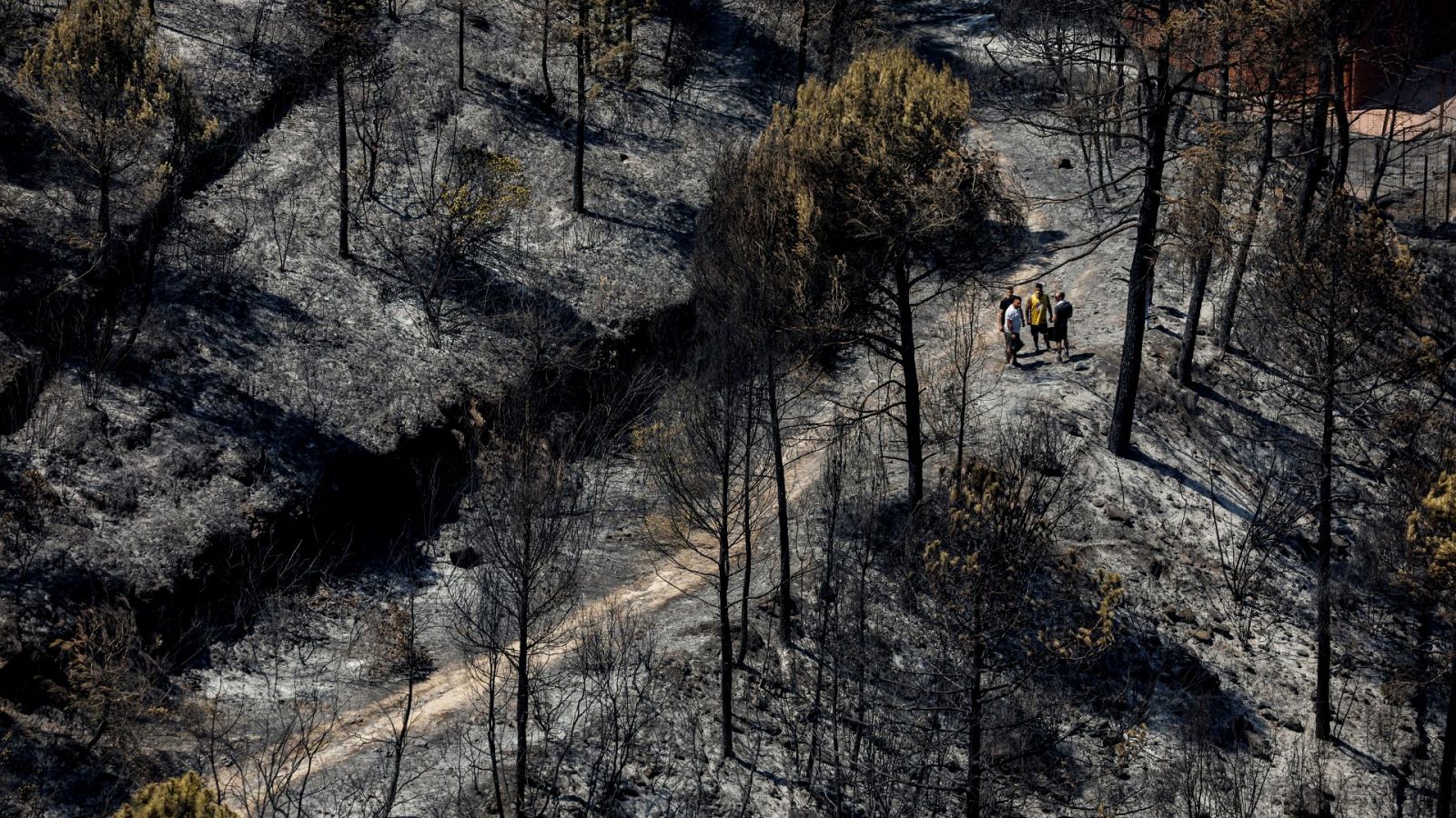 El incendio de Pont de Vilomara quema 1.600 hectáreas