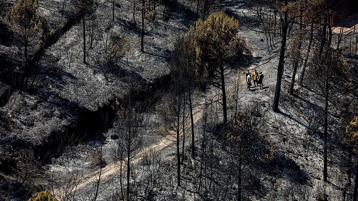 Telediario 1 - El incendio de Pont de Vilomara arrasa 1.600 hectáreas