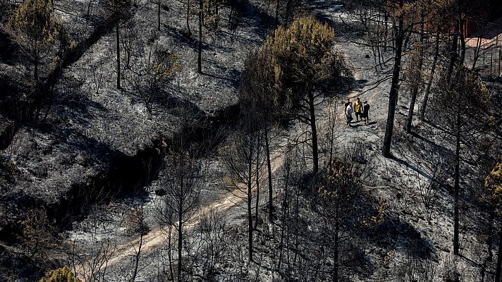 El incendio de Pont de Vilomara arrasa 1.600 hectáreas