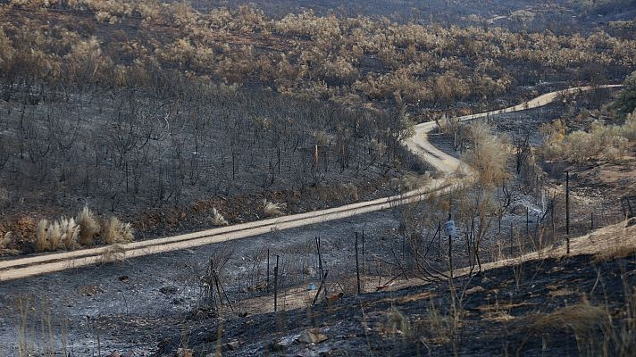 Los tres grandes incendios activos en Extremadura evolucionan favorablemente