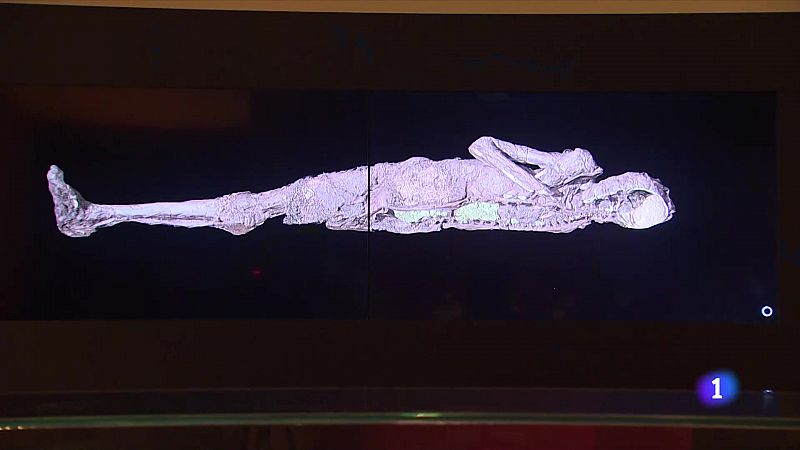 Se exponen en Madrid seis de las 120 momias del Museo Británico