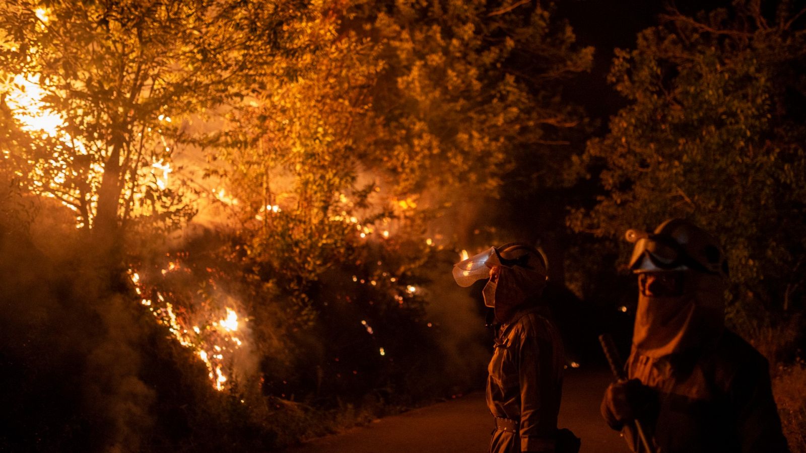 El cambio climático y el abandono rural, detrás de incendios "cada vez más grandes y destructivos"