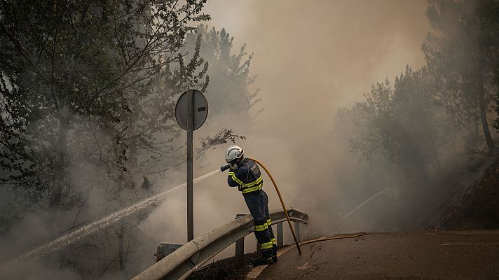 Telediario 2 - Brigadas forestales y técnicos medioambientales denuncian falta de medidas para prevenir incendios