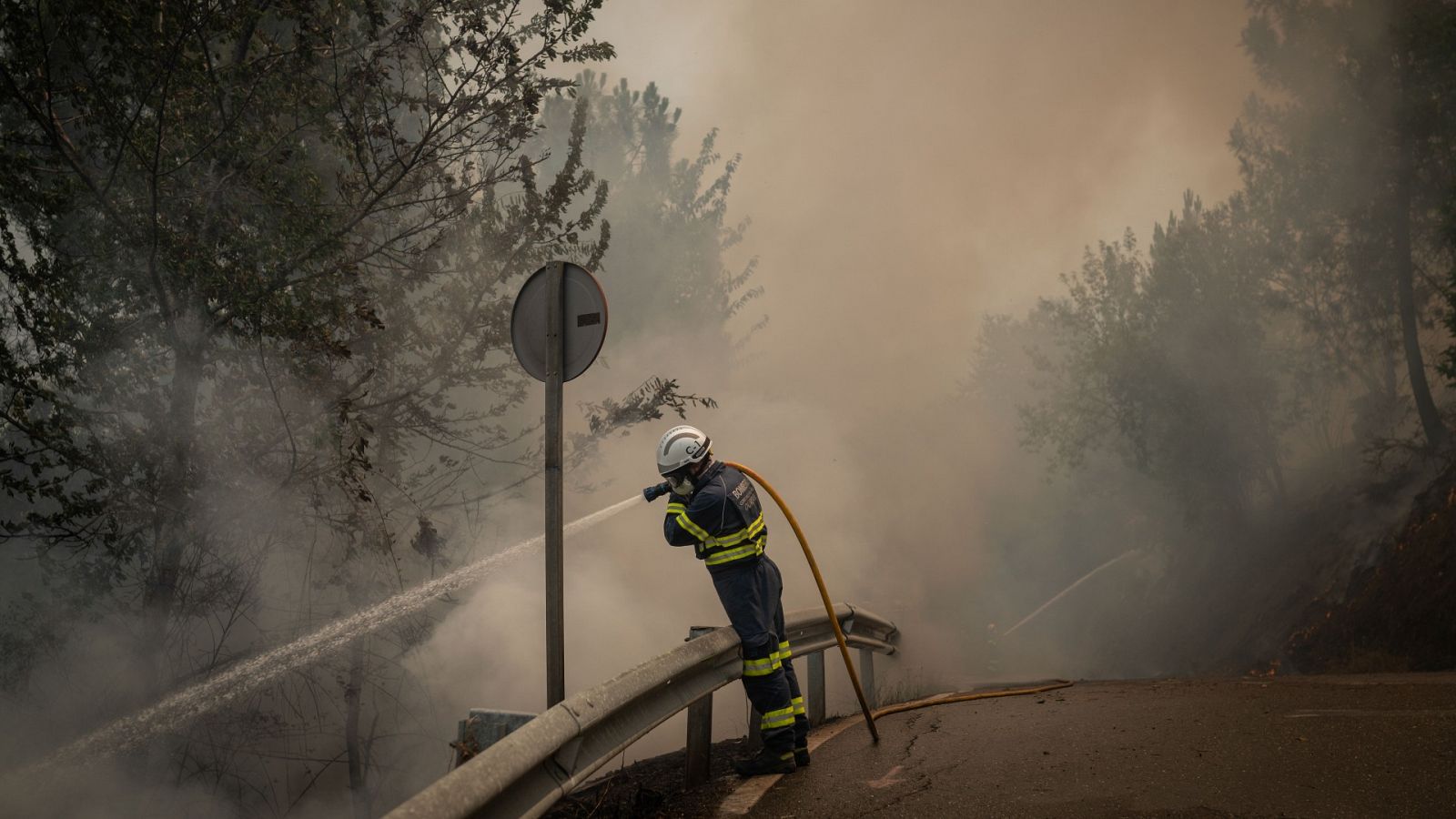 Brigadas forestales y técnicos medioambientales denuncian falta de medidas para prevenir incendios