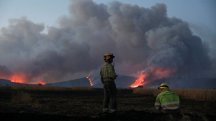 Telediario en lengua de signos - Telediario - 8 horas - 19/07/22 - Lengua de signos