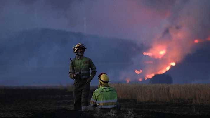 Diario 24 - Diario 24 - 19/07/22 (1)