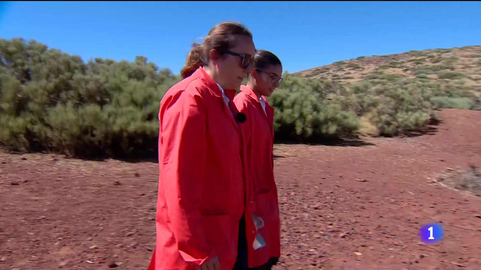 Telecanarias: Investigadores de la Universidad de La Laguna estudian la presencia de microplásticos en el Teide | RTVE Play