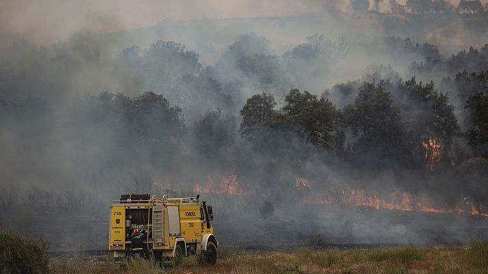 Diario 24 - Diario 24 - 19/07/22 (2)