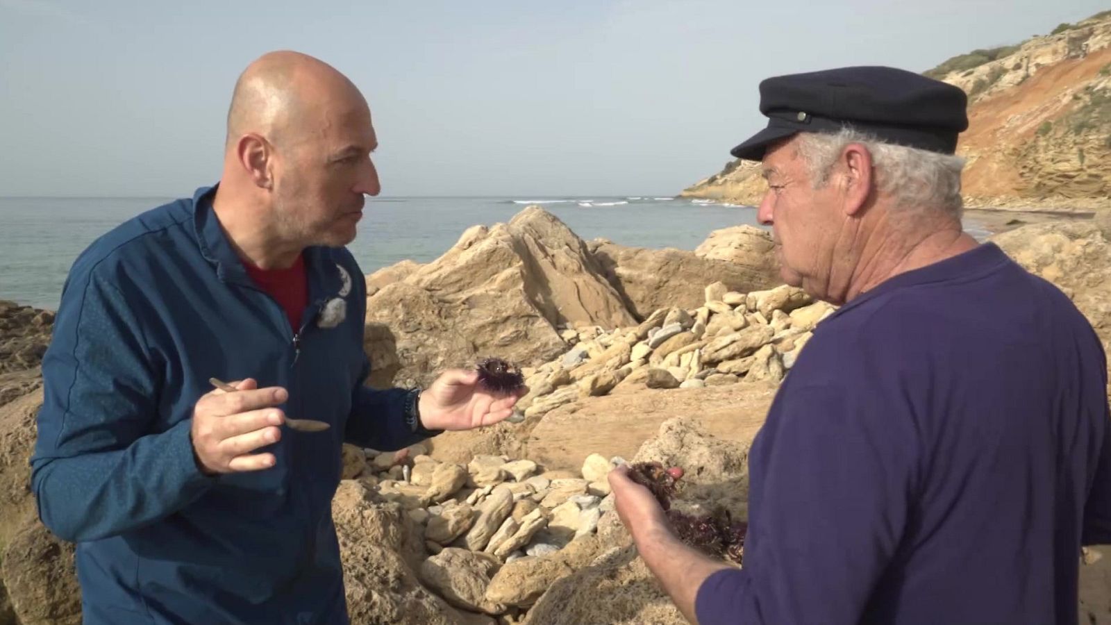 Atleta Gourmet - Cádiz - ver ahora