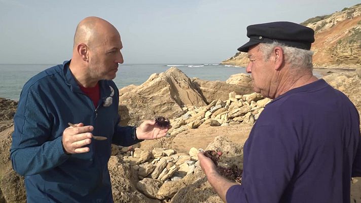 Atleta gourmet - Cádiz