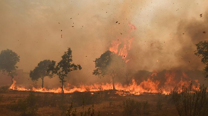 Telediario 1 - Telediario 1 en 4' - 19/07/22
