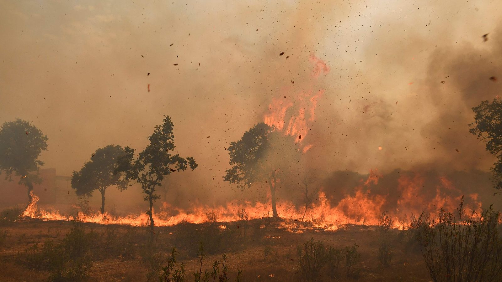 Telediario 1 en cuatro minutos - 19/07/22 - Ver ahora 