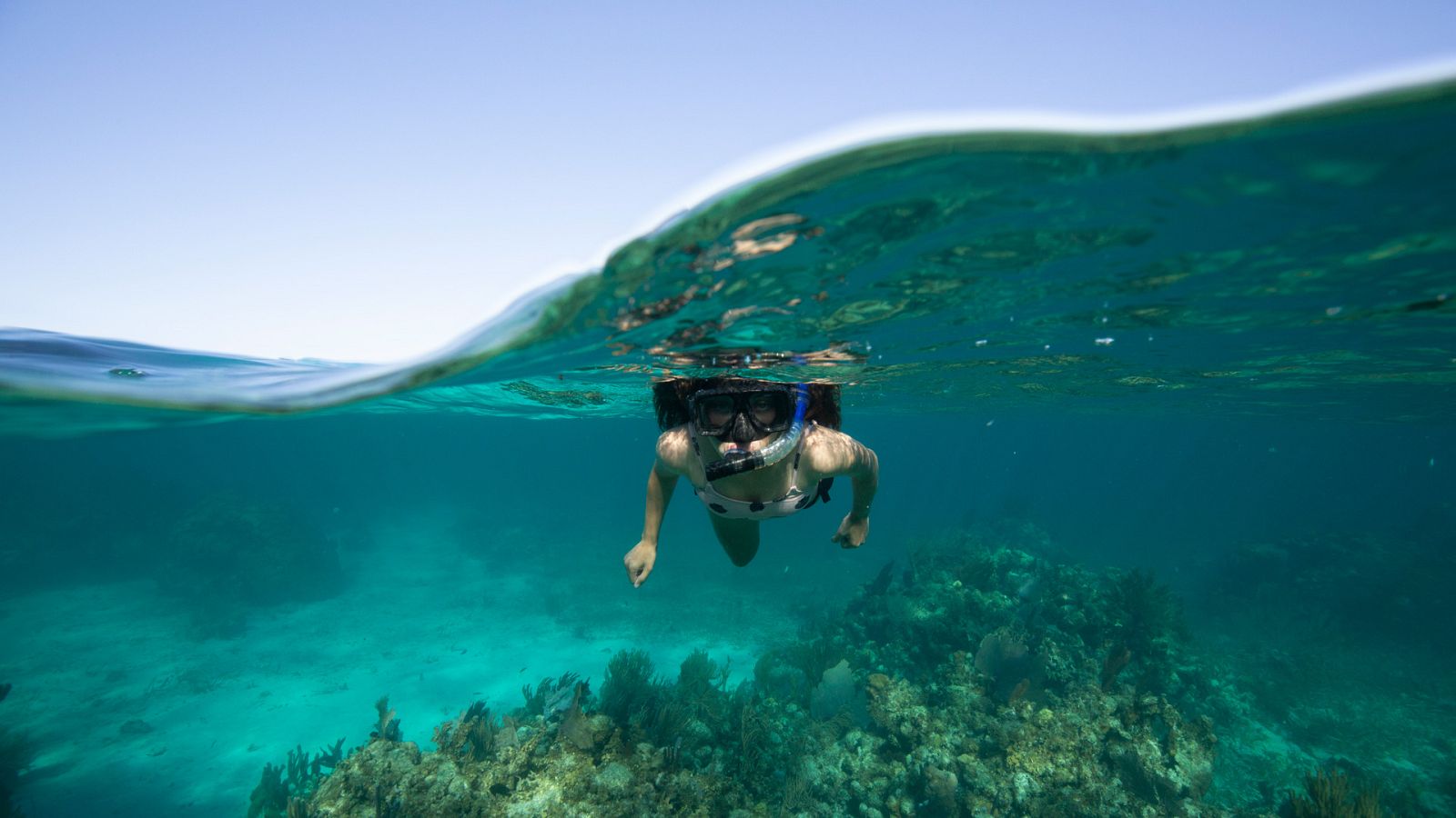 La hora de la naturaleza - Episodio 3: Cambio - Ver ahora