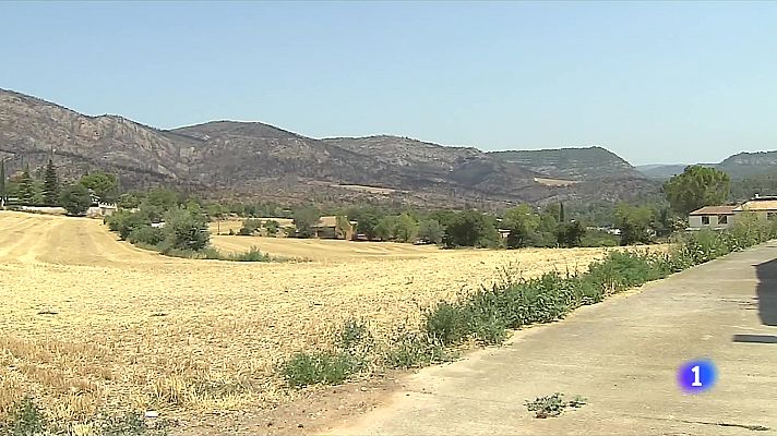 L'Informatiu - Els pagesos afectats pel foc d'Artesa encara no tenen els ajuts de la Generalitat