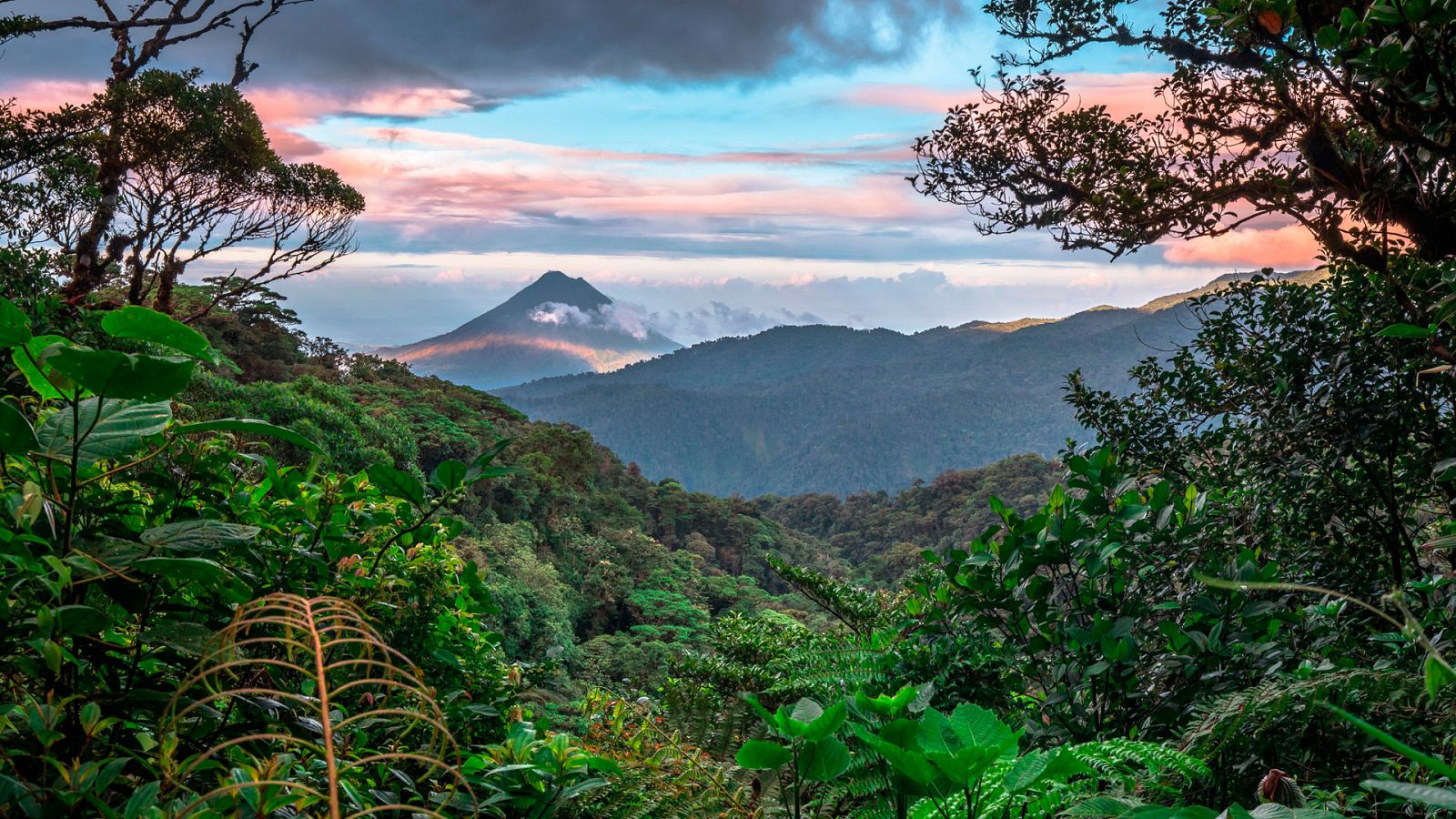 La fuerza de la vida - Costa Rica - Documental en RTVE