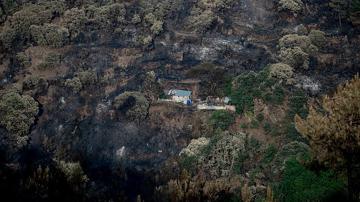 El viento complica la extinción del incendio de Cebreros y Hoyo de Pinares