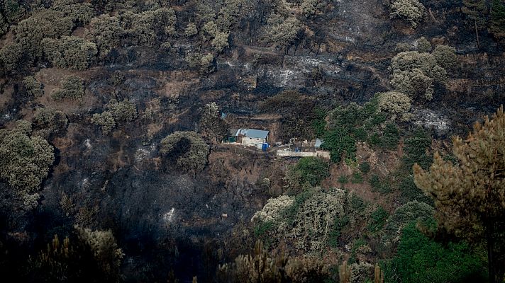 Telediario Matinal - Telediario Matinal en 4' - 21/07/2022