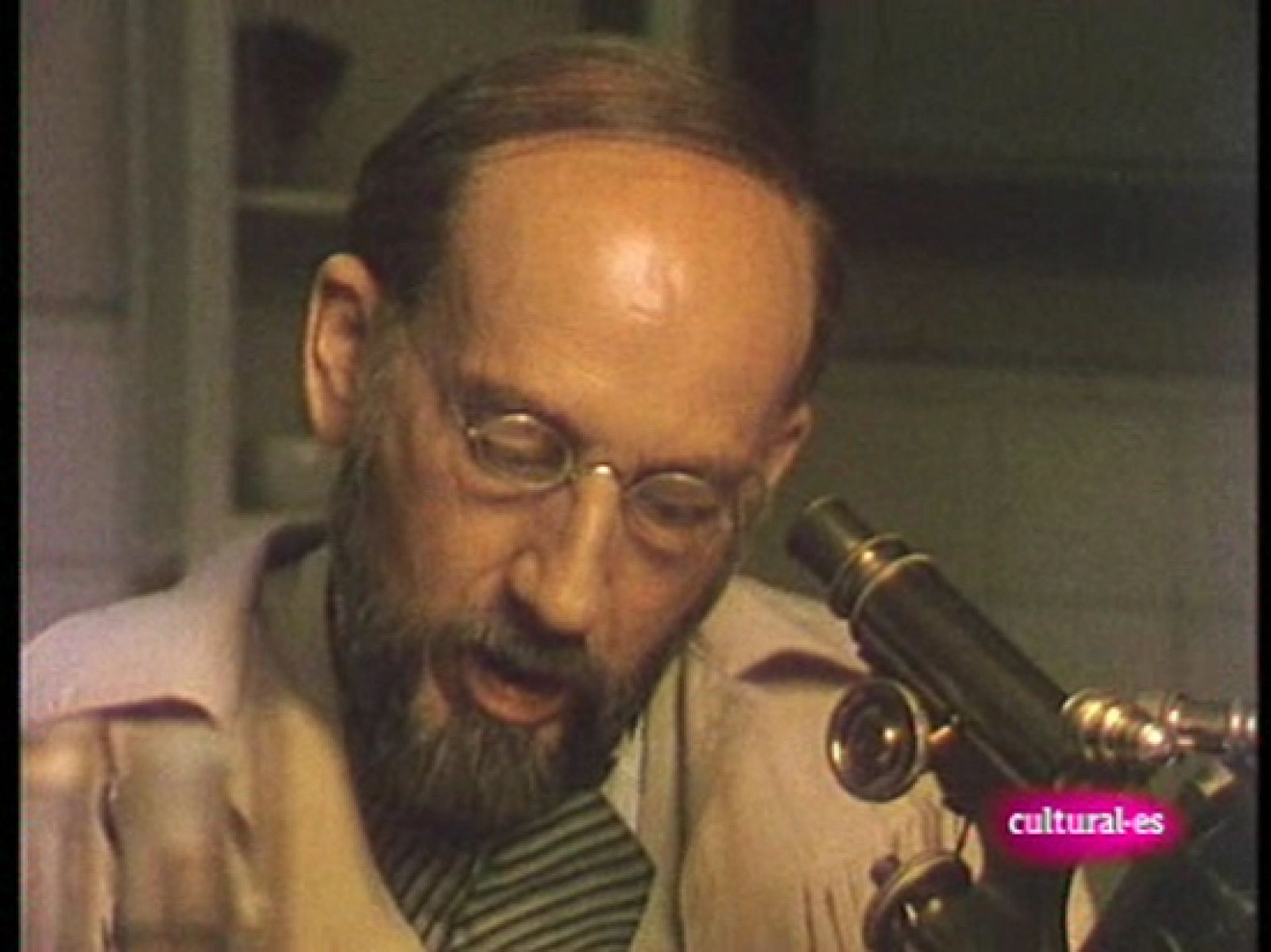 Ramón y Cajal nº2: Descubrimientos