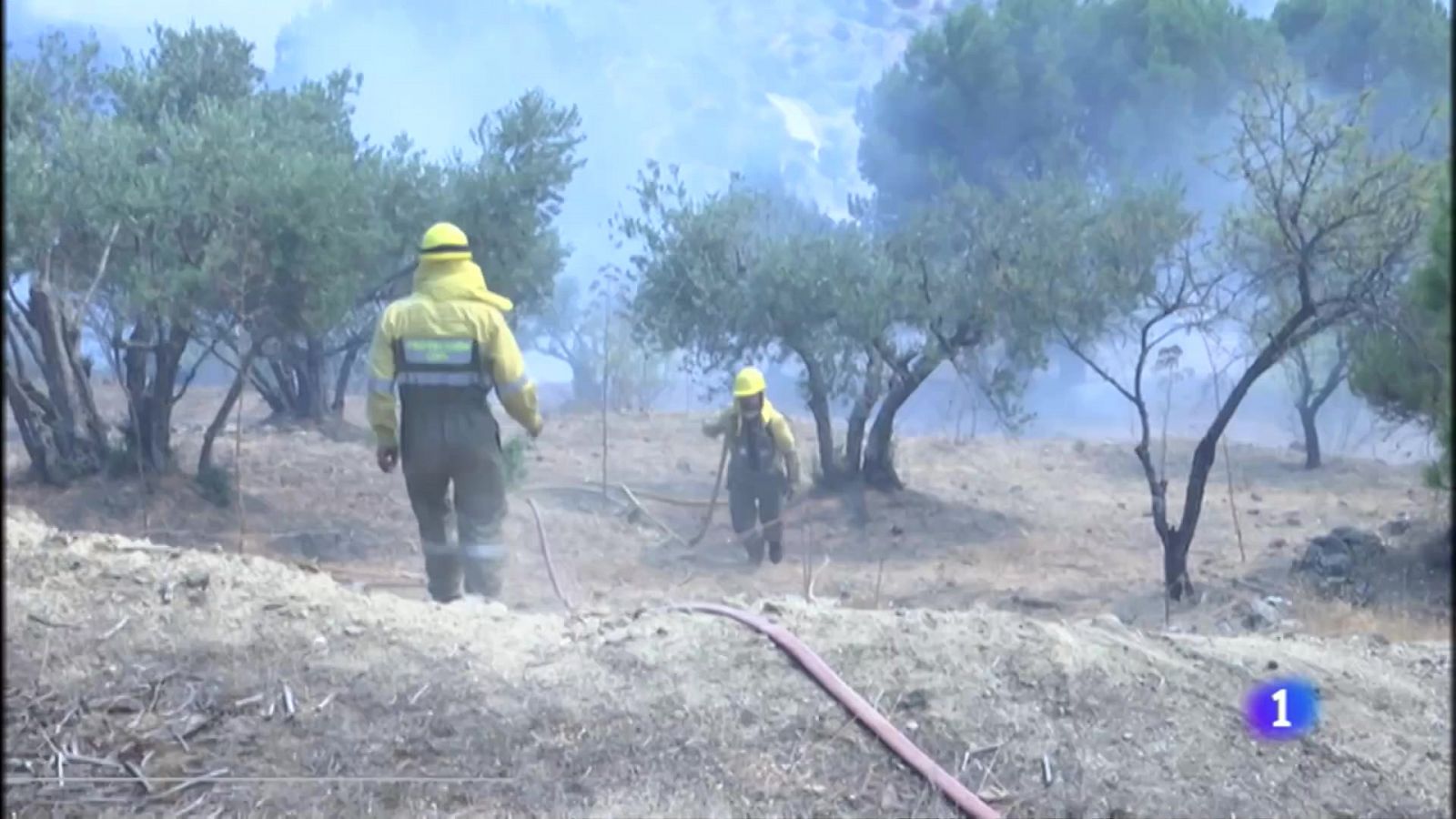 Castilla y León en 1' - 21/07/22