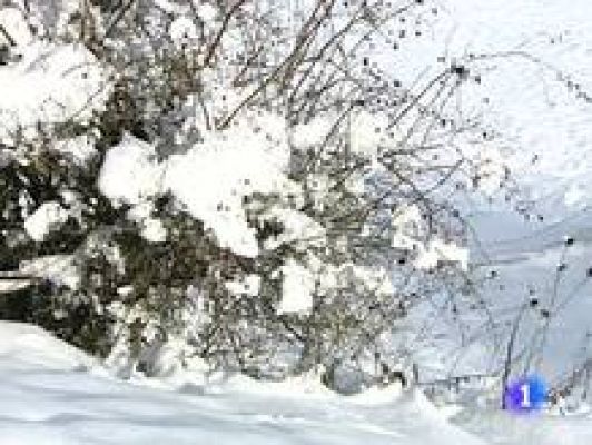 Informativo Telerioja - Informativo Telerioja - 11/01/10