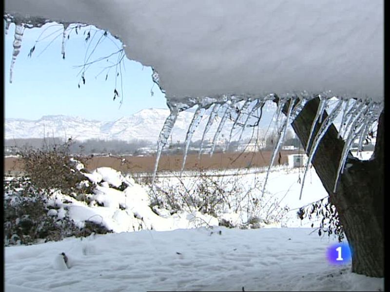 Informativo  Telerioja (11/01/10)