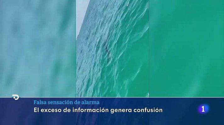 Telediario 1 - El exceso de información a veces genera confusión y sensación de alarma